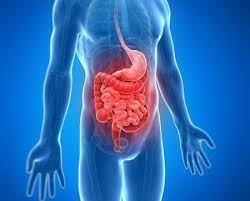 Stomach Specialist In Indore